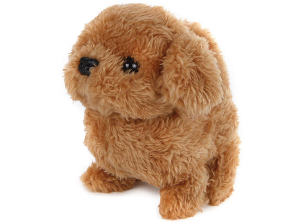 Hund brun pels ass funksjoner 15,5cm Take Me Home Plysj 