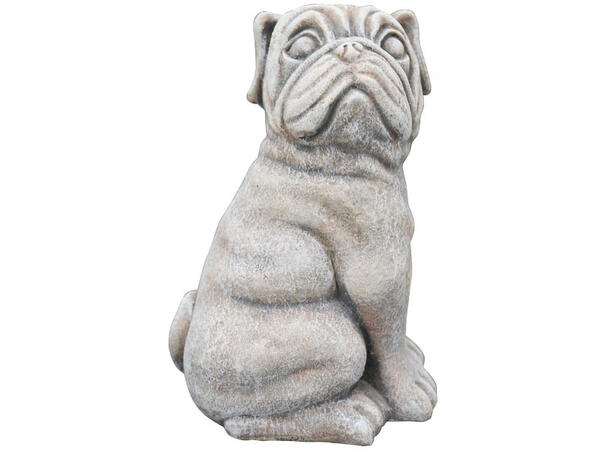 Hund grå sement 15,5x11,5x23cm 