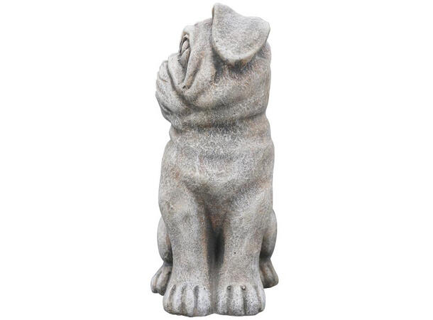 Hund grå sement 15,5x11,5x23cm 