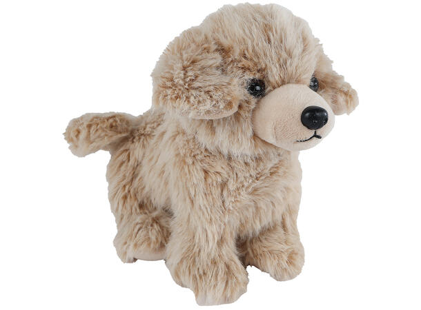 Hund stående beige plysj 22cx Forpk 8stk Take Me Home Plysj 