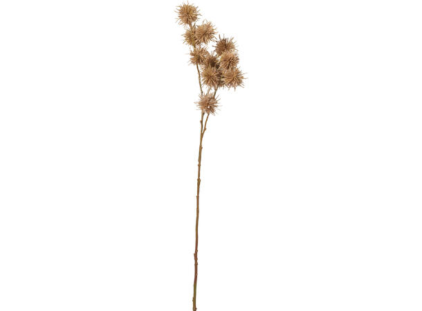 Kvist akasia brunfarger 68cm 3ass 