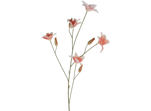 Kvist blomst fersken 106cm 