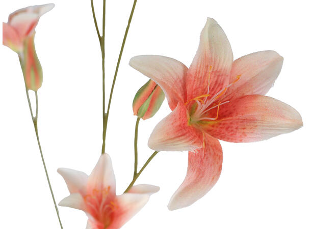 Kvist blomst fersken 106cm 