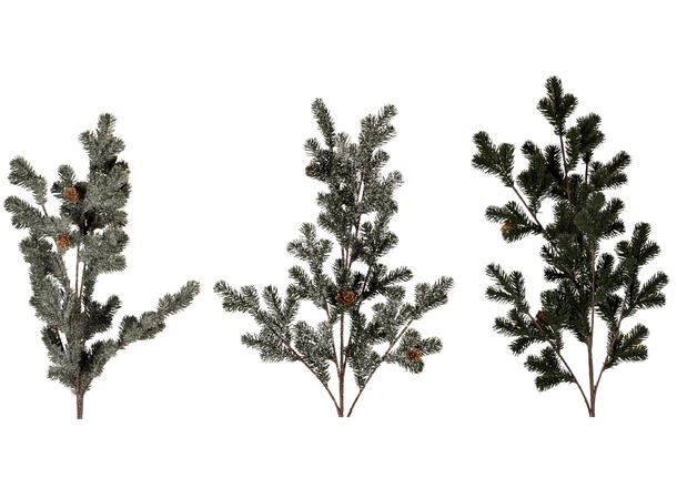 Kvist furugren m/kongler 85cm 3ass 