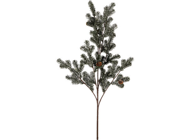 Kvist furugren m/kongler 85cm 3ass 