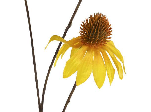 Kvist gul blomster 82cm 