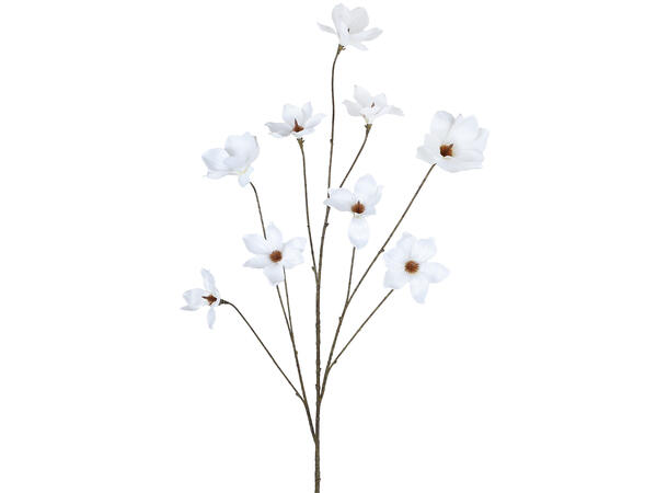 Kvist vill Magnolia krem 127cm 