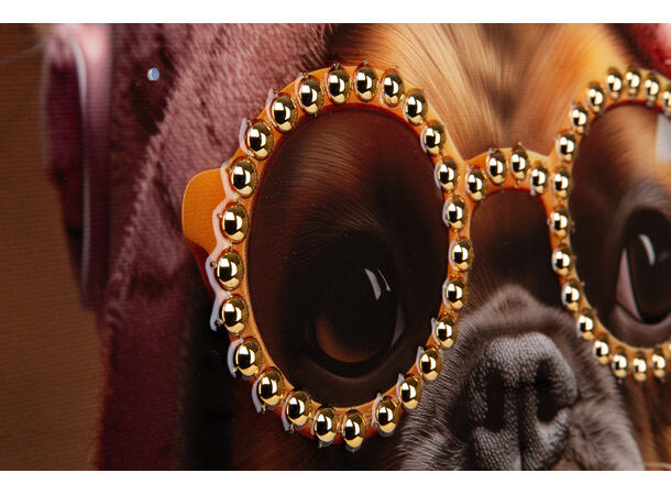 Lerretsbilde Hund med dekor 53x53cm Shiny foliert fototrykk med gullramme 