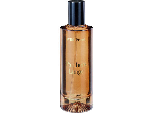 Romspray glass 100ml 14,5x15cm 3ass Display 24stk 