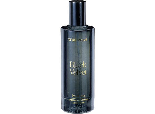 Romspray glass 100ml 14,5x15cm 3ass Display 24stk 