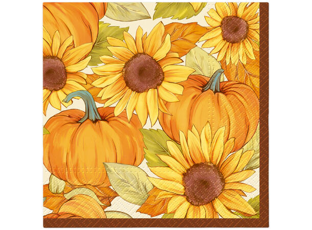 Serviett Gresskar Lunsjserviett 20 stk 3-lags 33x33cm 