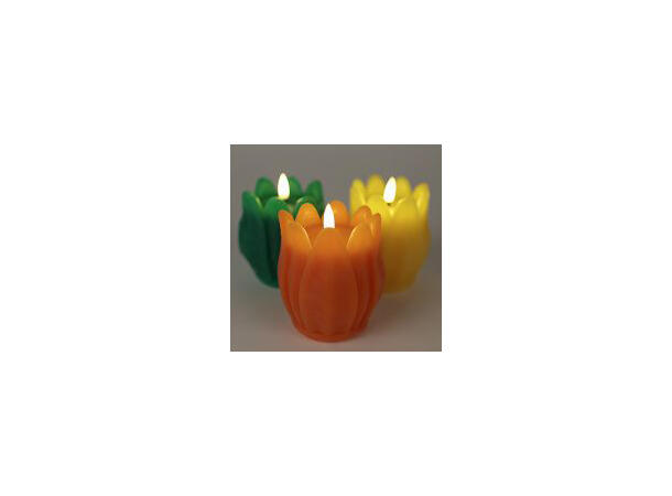 Tulipan LED-lys med stearin 9x11cm 3ass Batteri: 2xAA Sterainvoks utvendig 