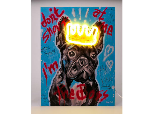 Bilde hund m LED Neonkrone 30x40cm, 3ass MDF, Ledning 180cm m/USB 