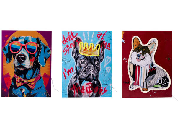 Bilde hund m LED Neonkrone MDF 30x40cm Ledning 180cm m/USB 