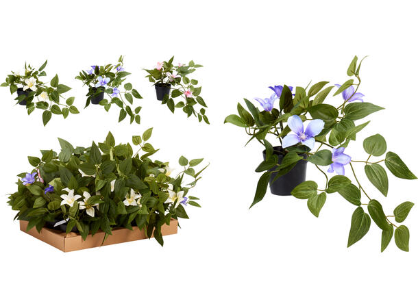 Blomst rosa, hvit, lilla 28x40cm 3ass Forpakning 12stk 