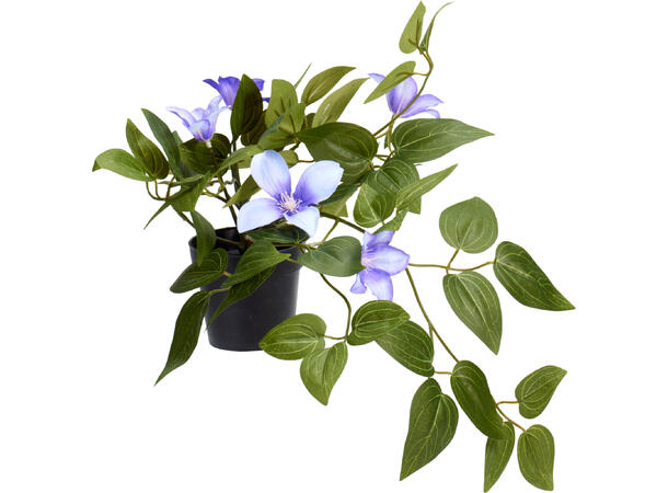 Blomst rosa, hvit, lilla 28x40cm 3ass Forpakning 12stk 