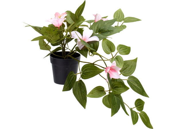 Blomst rosa, hvit, lilla 28x40cm 3ass Forpakning 12stk 