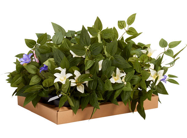 Blomst rosa, hvit, lilla 28x40cm 3ass Forpakning 12stk 