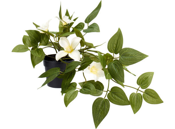 Blomst rosa, hvit, lilla 28x40cm 3ass 