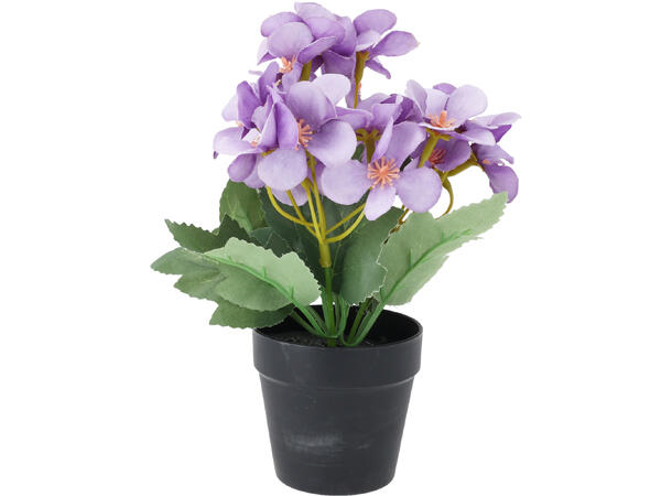 Blomster i sort potte 13x20cm 4ass Forpakning 24stk 