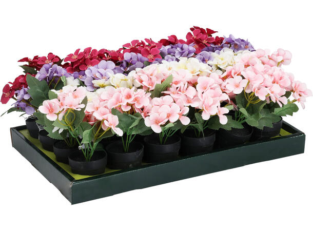 Blomster i sort potte 13x20cm 4ass Forpakning 24stk 