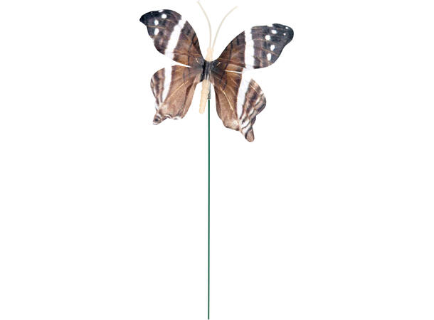 Blomsterpinne sommerfugl 30cm 6ass Display med 30stk 