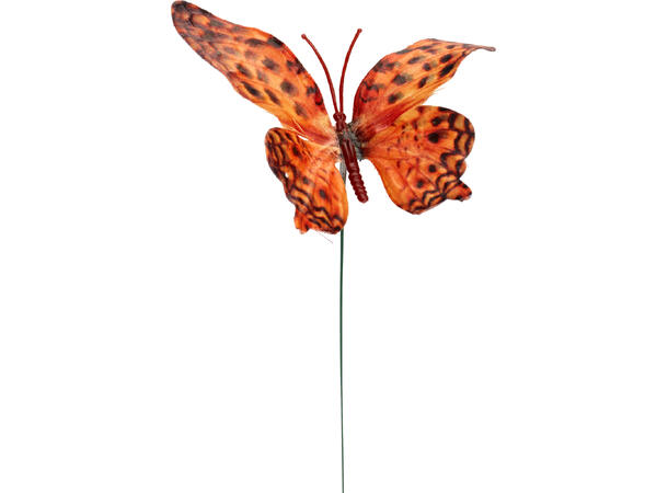 Blomsterpinne sommerfugl 30cm 9ass Display med 30stk 
