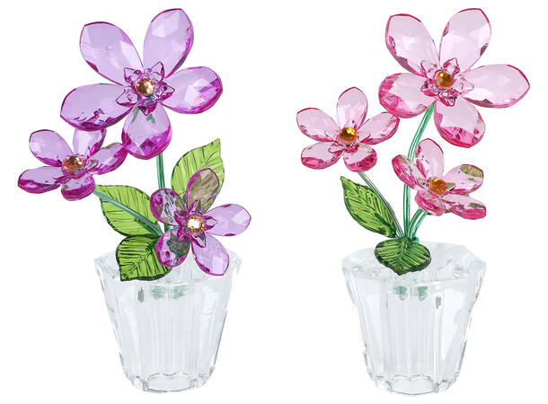 Forglemmegei lilla/fuksia akryl 6x6x11cm 