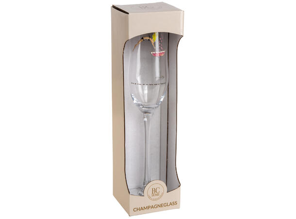 Glass champagne Livet må leves 24cm Illustrasjon: Sølje Bergman 