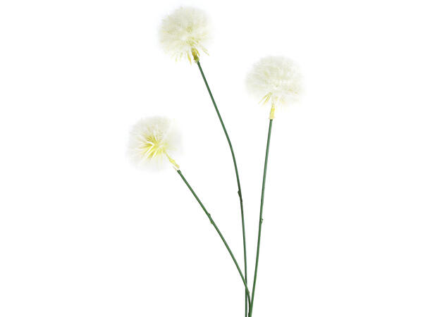 Kvist med hvit løvetannblomst 52cm 