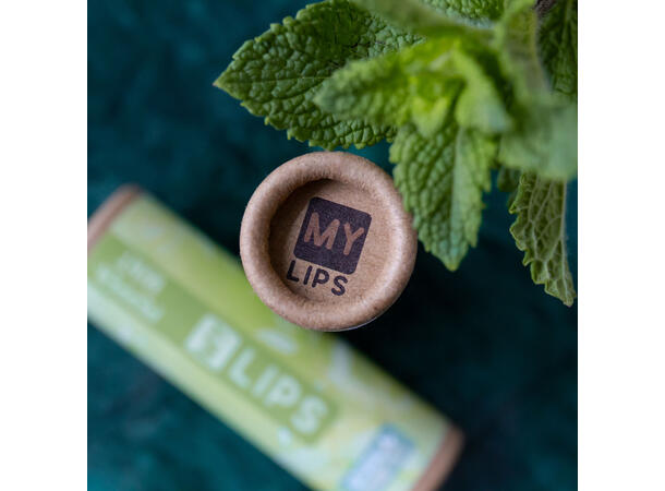 Leppepomade My lips peppermynte Display 36stk 10g Håndlaget 