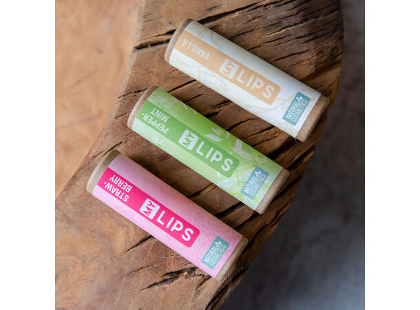 Leppepomade My lips peppermynte Display 36stk 10g Håndlaget 