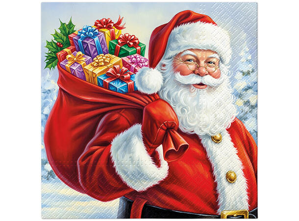 Serviett Julenisse m/sekk Kaffeserviett 20stk 3 lag 25x25cm 