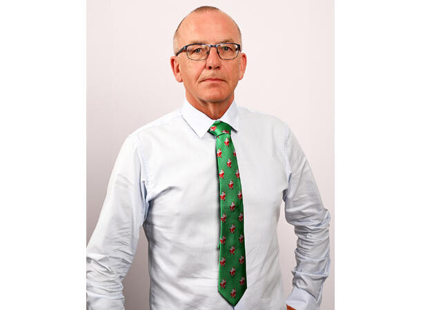 Slips grønn m/nisse Voksen L:144cm Polyester. Pakket i gaveeske 