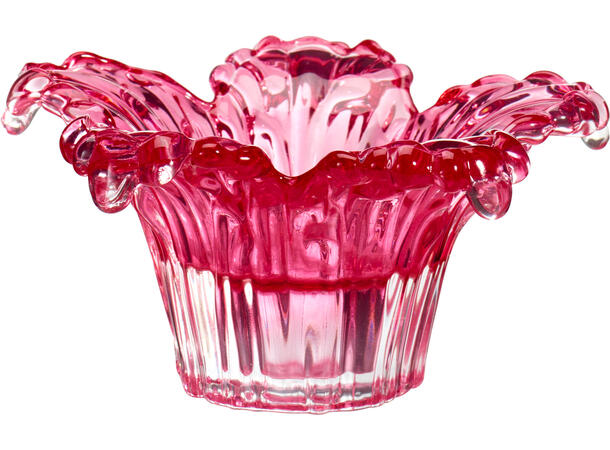 Telysestake palme 12,5x6cm 5ass Forpk 20stk Fuksia gul oransje blå lilla 