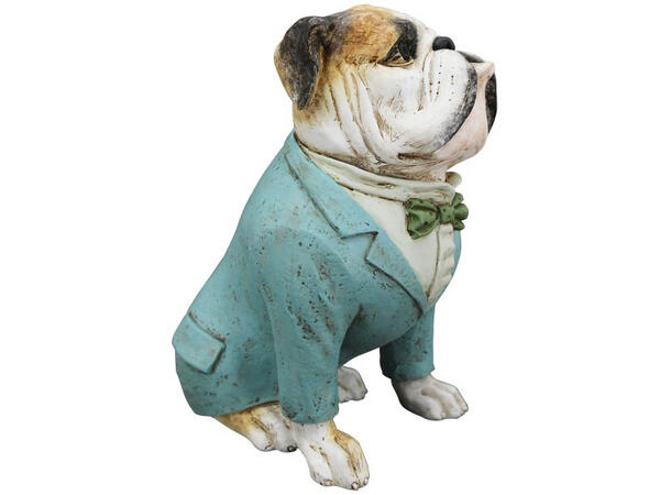Bulldogge blå jakke 28,5x18x32cm Polyresin 