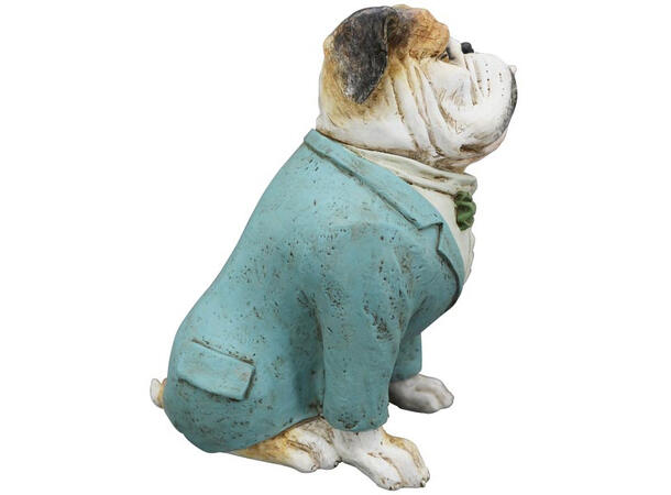 Bulldogge blå jakke 28,5x18x32cm Polyresin 