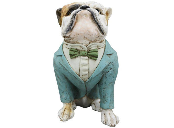 Bulldogge blå jakke 28,5x18x32cm Polyresin 