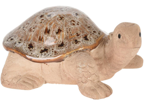 Hagedyr matt porselen 9x11,5x6cm 3ass Forpakning: 24stk Frosk,snegl,skilpadde 