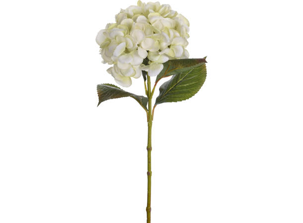 Kvist Hortensia blomst ass farger 4ass Forpk 24stk Rosa lys rosa lilla grønn 