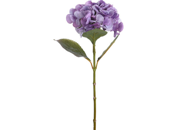 Kvist Hortensia blomst ass farger 4ass Forpk 24stk Rosa lys rosa lilla grønn 