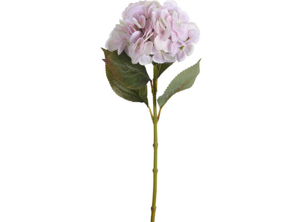 Kvist Hortensia blomst ass farger 4ass Rosa,lys rosa,lilla,grønn, 