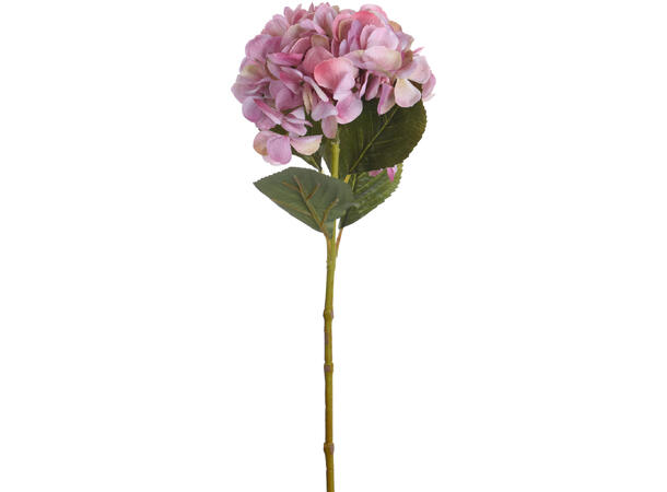 Kvist Hortensia blomst ass farger 4ass Rosa,lys rosa,lilla,grønn, 