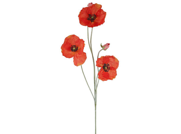 Kvist blomst Poppy rød 108cm Forpk 12stk 