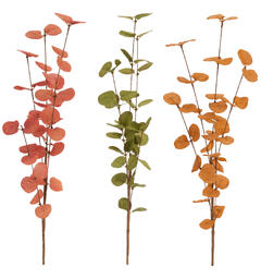Kvist eucalyptus 75cm 3ass Forpk 24stk