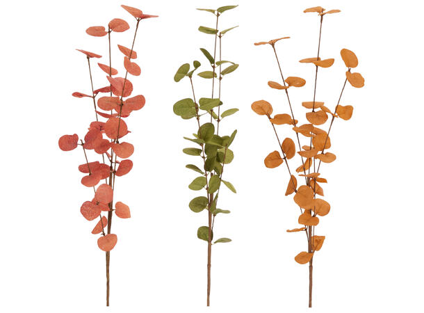 Kvist eucalyptus 75cm 3ass Forpk 24stk 