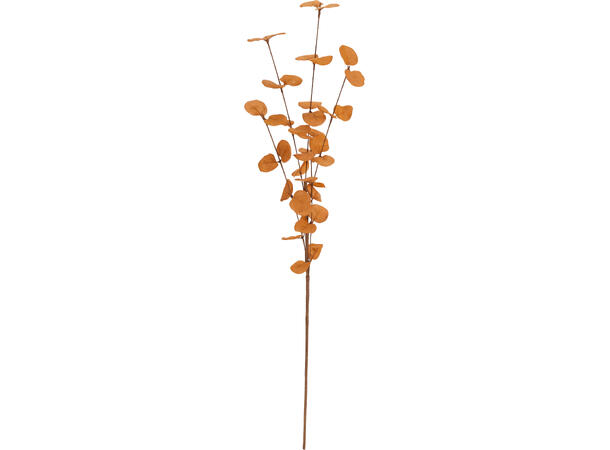 Kvist eucalyptus 75cm 3ass Forpk 24stk 