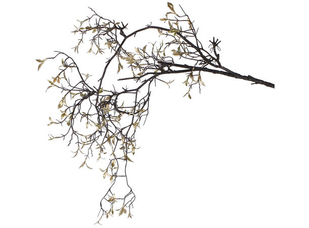 Kvist gren svart/gull 110cm 