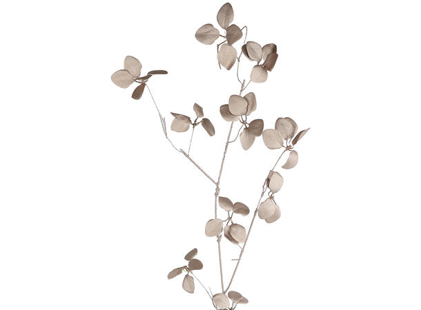 Kvist gren svart/gull 110cm 