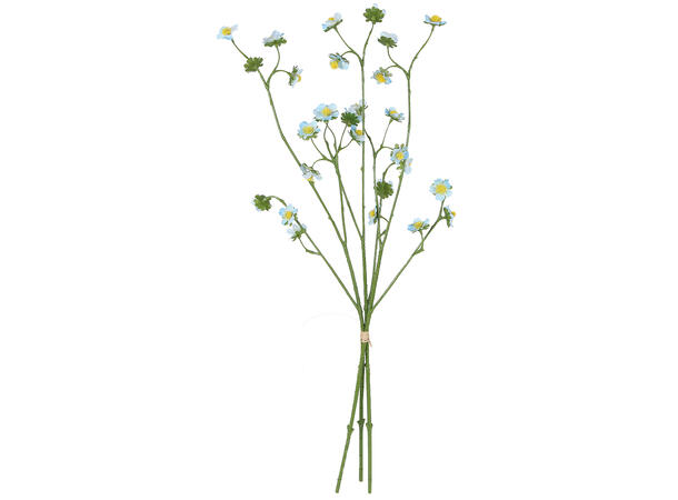 Kvist mini tusenfryd ass farge 55cm 3ass 